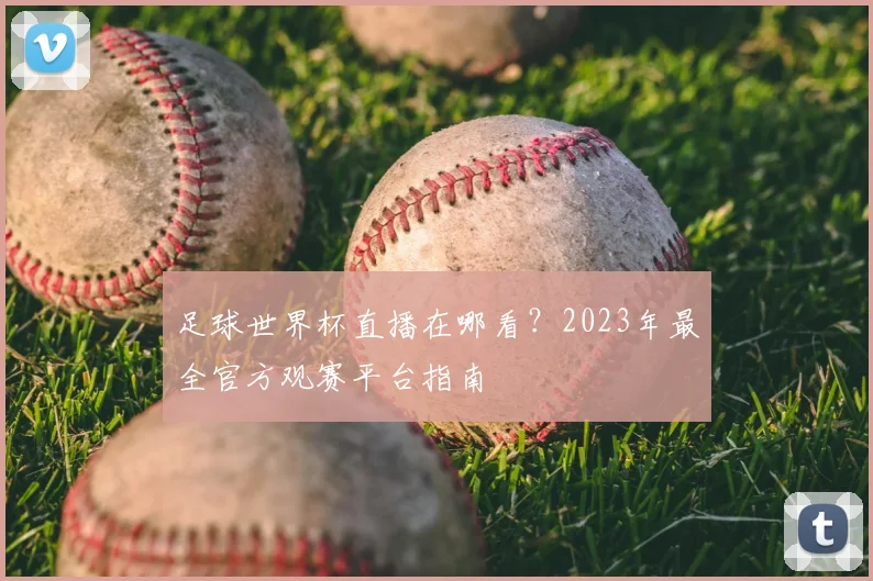 足球世界杯直播在哪看？2023年最全官方观赛平台指南
