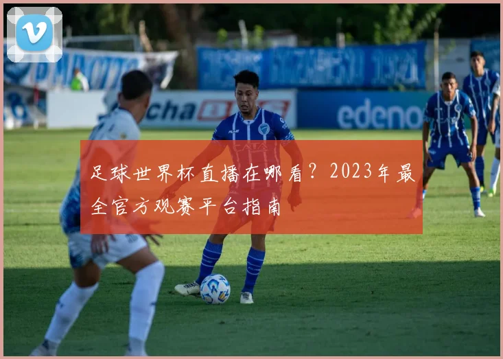 足球世界杯直播在哪看？2023年最全官方观赛平台指南
